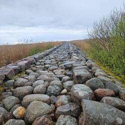 Stein(mauer)Weg zum Meer.