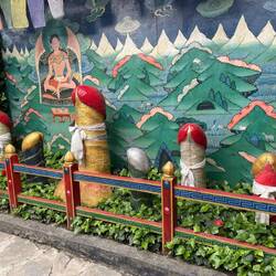 Fertility Garden, Bhutan's viagra