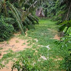 Nun haben wir auch eine Pool Villa 🤣