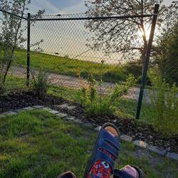 Wunderschönes Abendlicht