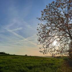 Unser Blick ins Weite