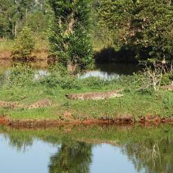 Der Schein trügt...