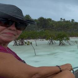 aber wir kehren nicht um..