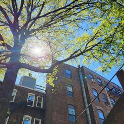 Unser Pausenplätzchen an der Old North Church