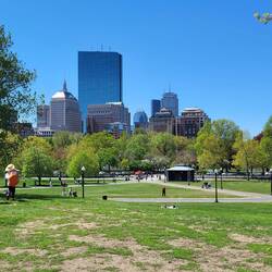 Boston Common