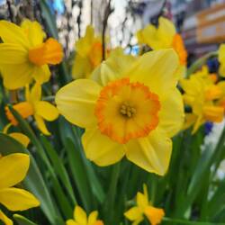 Der Frühling ist da 🌸