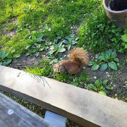 Habt ihr Nüsse? 🥜