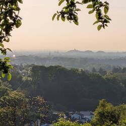 Blick ins Siebengebirge