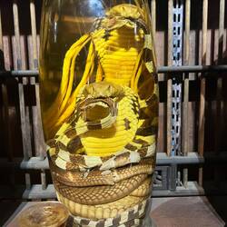 Médecine traditionnelle