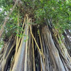 Jolande, da mussten wir an dich denken 😂