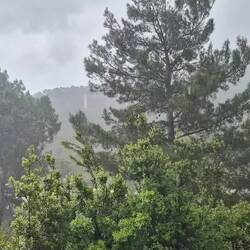 Tolles Gewitter