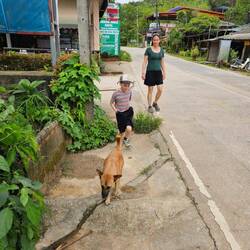 Wir haben auch einen 🐕