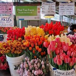 The floral offerings in the Market were just stunning.