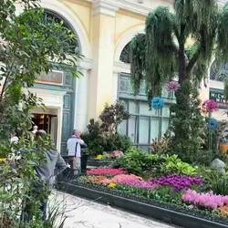 Verlaufen im Bellagio 🙄