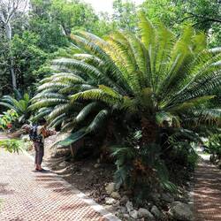The perfect place for a quiet afternoon: the botanical garden.