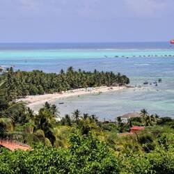 View from the botanical garden tower.