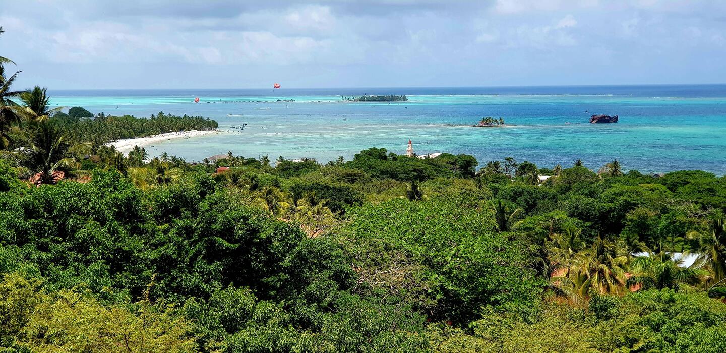 Landscape seen from the botanical garden tower.