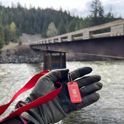 Einen Travelbug lassen wir im Geocache zurück
