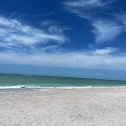 Habe beim Tauchen kein Muschelglück gehabt, aber ein netter Junge hat mir eine geschenkt