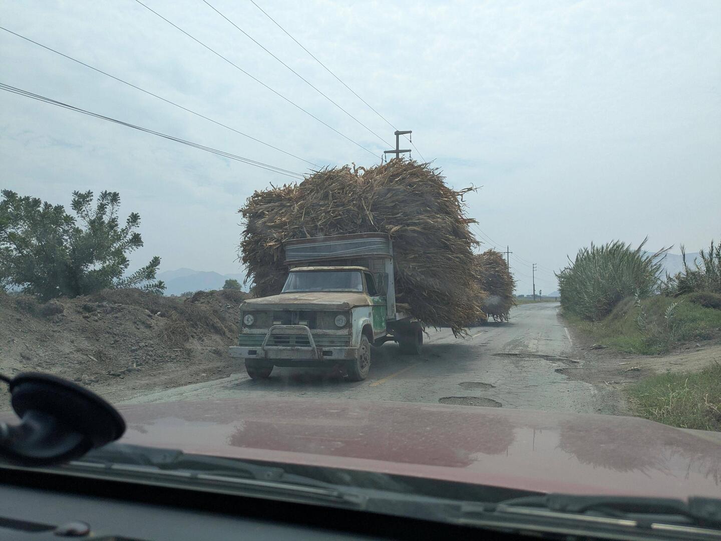 We see many of these full loaded trucks with what we think is sugarcane