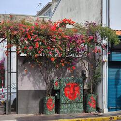 Street Art San José