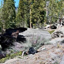 Liegt hier über 200 Jahre