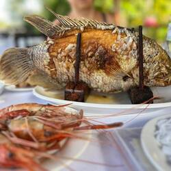 poisson oreille d'éléphant et gambas aux pattes bleues