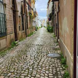 Don't know if a car and a person can make it side by side