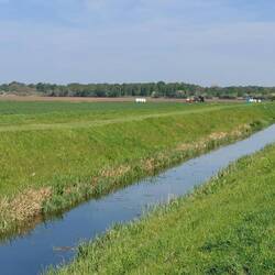Great Raveley Drain towards Woodwalton Fen