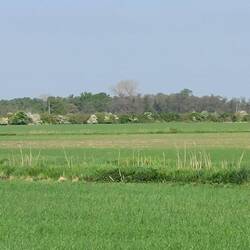 View of Woodwalton Fen after leaving Upwood