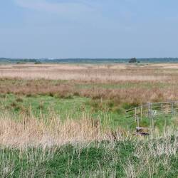 View over the Fenland from the other side of Woodwalton Fen