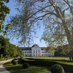 Der Präsidentengarten