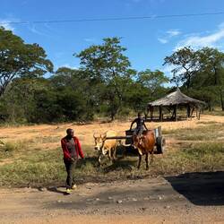Sambisches 4x4 Fortbewegungsmittel