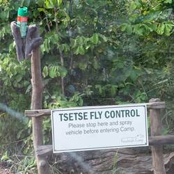 Bei Ankunft im Camp. Tse-Tse Desinfektion mit Doom. Pflicht!!