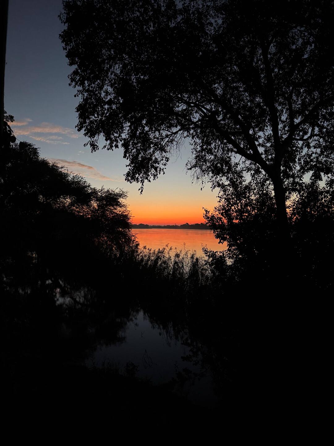 Sonnenaufgang am Sambesi