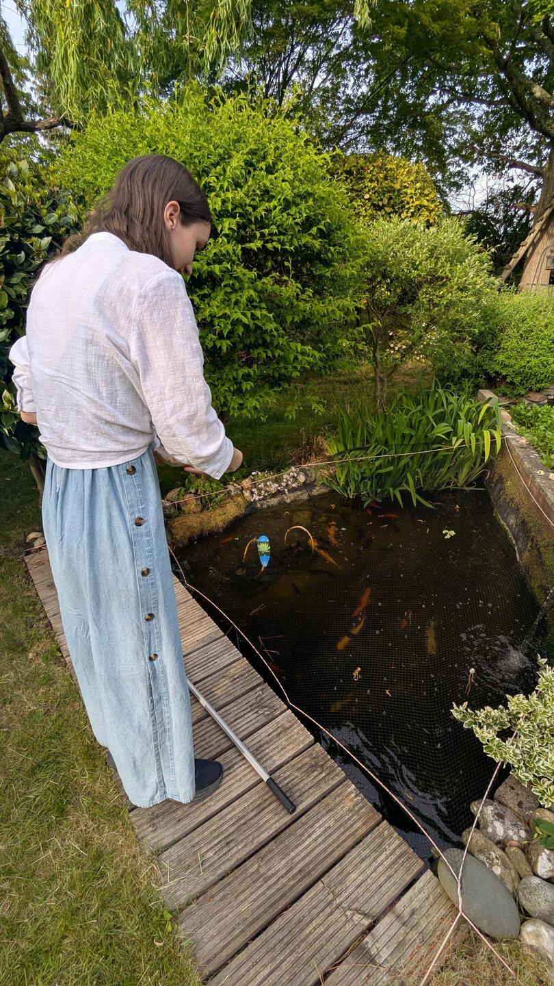 Feeding the Fish