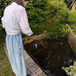Feeding the Fish