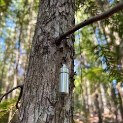 Ein Geocache