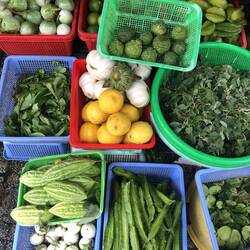 aubergines blanches, combavas, caramboles, concombres amers, pois carrés