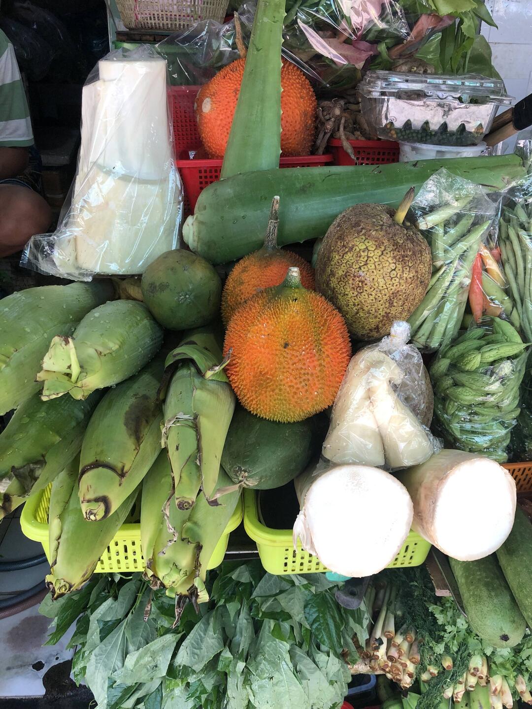 aloe vera, momordica, fruit à pain, fleurs de bananier, pousses de bambou