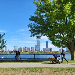 Ein letzter Blick auf die Skyline