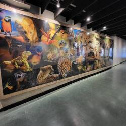 Das Puzzle bestwht aus ca. 52500 Teilen und wurde in 32 Tagen fertiggestellt 😱