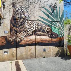 Der Zoo hatte tolle Wandbilder