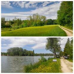 Anglerweiher in Obermorschwiller im Sundgau