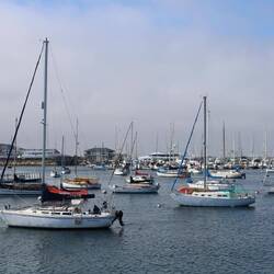 Boote, Boote, Boote 😄⛵🛥️🚤🛶
