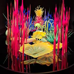 The rest of the pics in this footprint are one installation called 'Mille Fiore' (1000 Flowers)