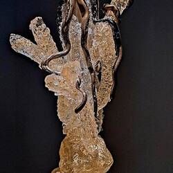 The 'sealife collection' was uber-interesting (to me; jw). Here: octopus.