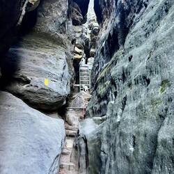 Anschließend geht's rüber zum Gohrischstein - Johnny ist von dieser Idee weniger angetan 🫤