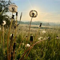 ..um mich von der tiefstehenden Sonne beeindrucken zu lassen 🌞