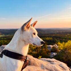 Aber auch er zeigt sich schließlich versöhnt, zumindest lässt er sich nichts ankennen und..